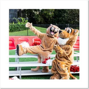 Two cougar mascots on bleacher Posters and Art